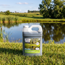 Load image into Gallery viewer, Nature's Pond Conditioner (Spring &amp; Summer)